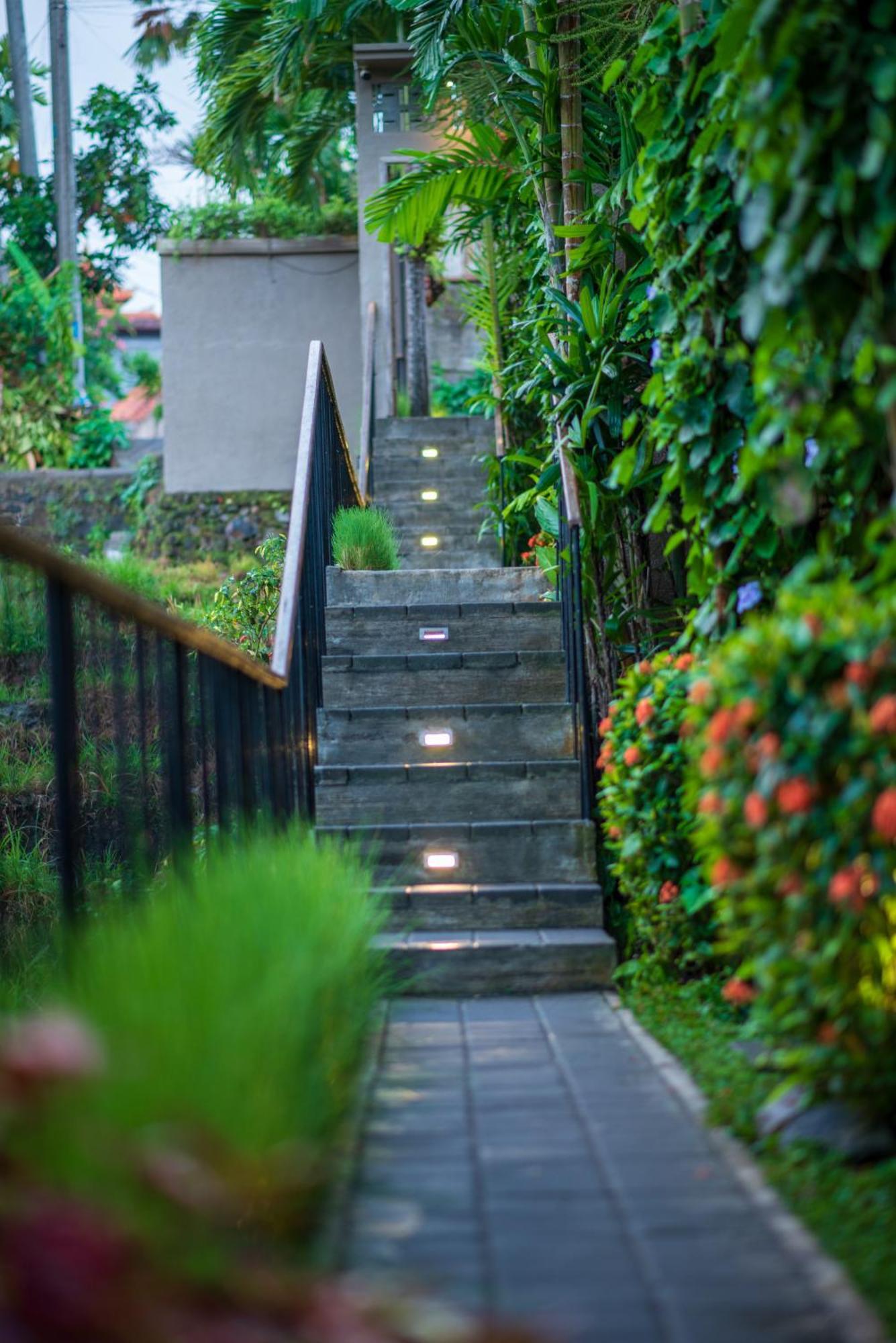 Pangkung Sari Bed And Breakfast Canggu  Ngoại thất bức ảnh