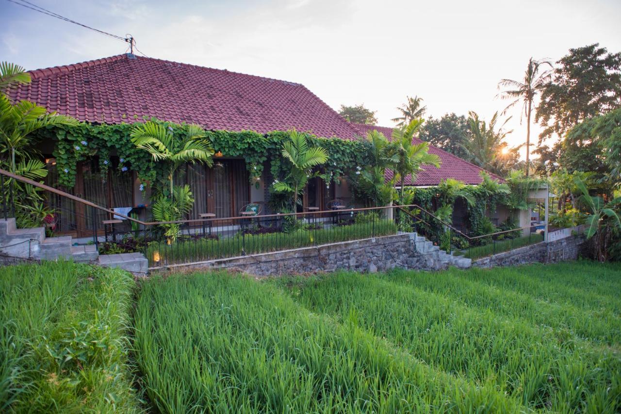 Pangkung Sari Bed And Breakfast Canggu  Ngoại thất bức ảnh